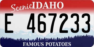 ID license plate E467233