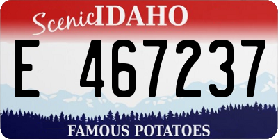 ID license plate E467237