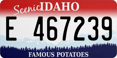 ID license plate E467239