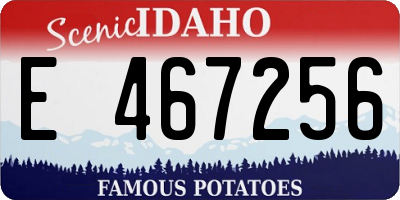 ID license plate E467256