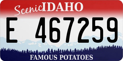 ID license plate E467259