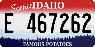 ID license plate E467262