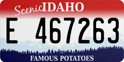 ID license plate E467263