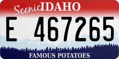 ID license plate E467265