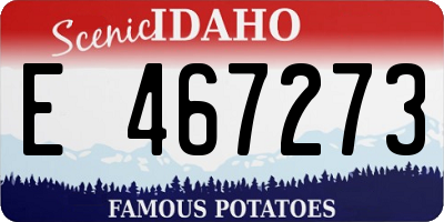 ID license plate E467273