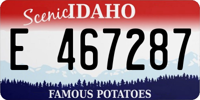 ID license plate E467287