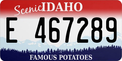 ID license plate E467289