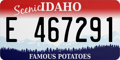 ID license plate E467291