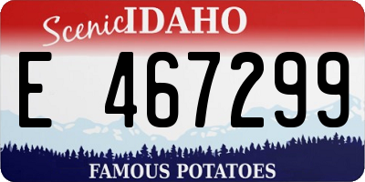 ID license plate E467299