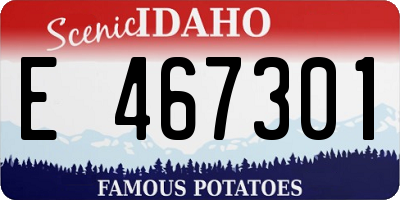 ID license plate E467301