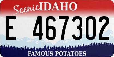 ID license plate E467302