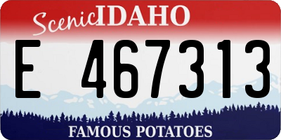 ID license plate E467313