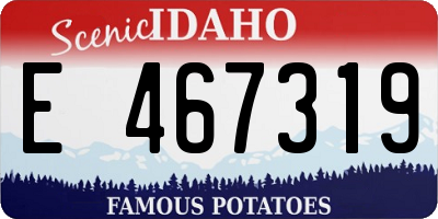 ID license plate E467319