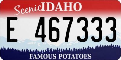 ID license plate E467333