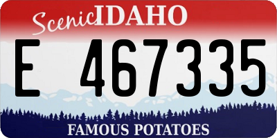 ID license plate E467335