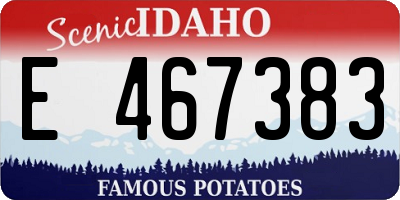ID license plate E467383