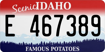 ID license plate E467389