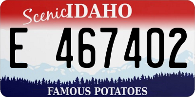 ID license plate E467402