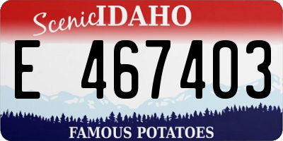 ID license plate E467403