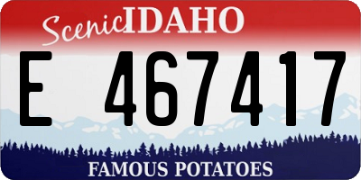 ID license plate E467417