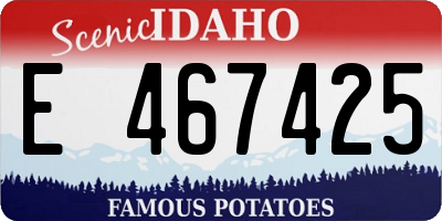 ID license plate E467425
