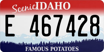 ID license plate E467428