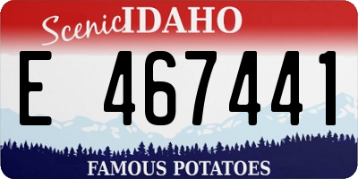 ID license plate E467441
