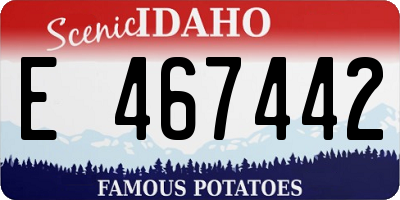 ID license plate E467442