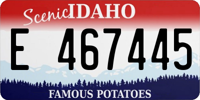 ID license plate E467445