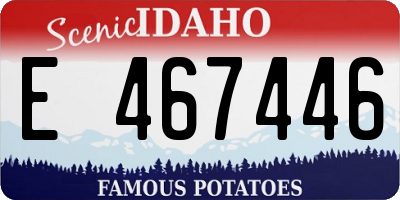 ID license plate E467446