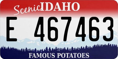 ID license plate E467463