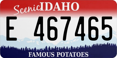 ID license plate E467465