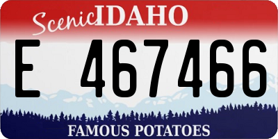 ID license plate E467466