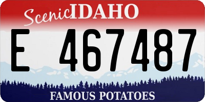 ID license plate E467487