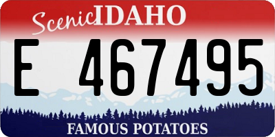 ID license plate E467495