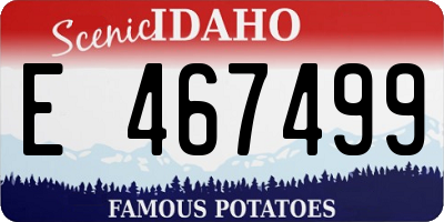 ID license plate E467499