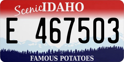 ID license plate E467503