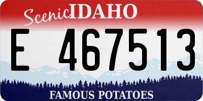 ID license plate E467513