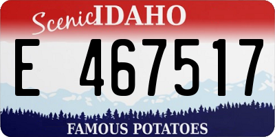 ID license plate E467517
