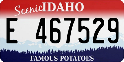 ID license plate E467529