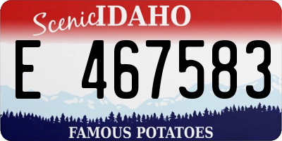 ID license plate E467583