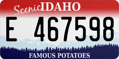 ID license plate E467598