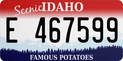 ID license plate E467599