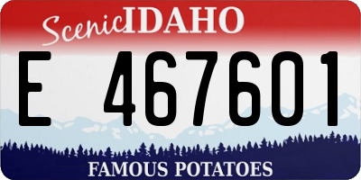 ID license plate E467601