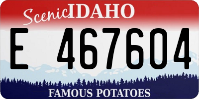 ID license plate E467604