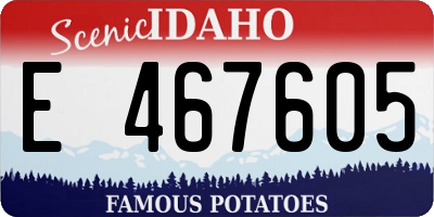 ID license plate E467605