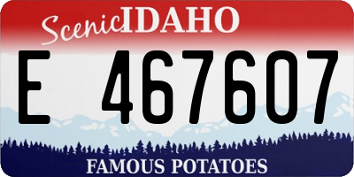 ID license plate E467607