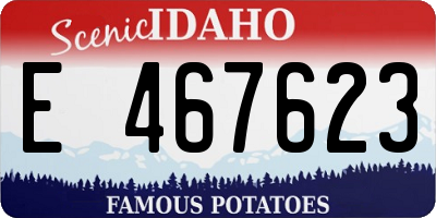 ID license plate E467623