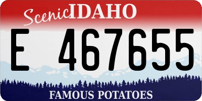 ID license plate E467655