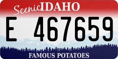 ID license plate E467659